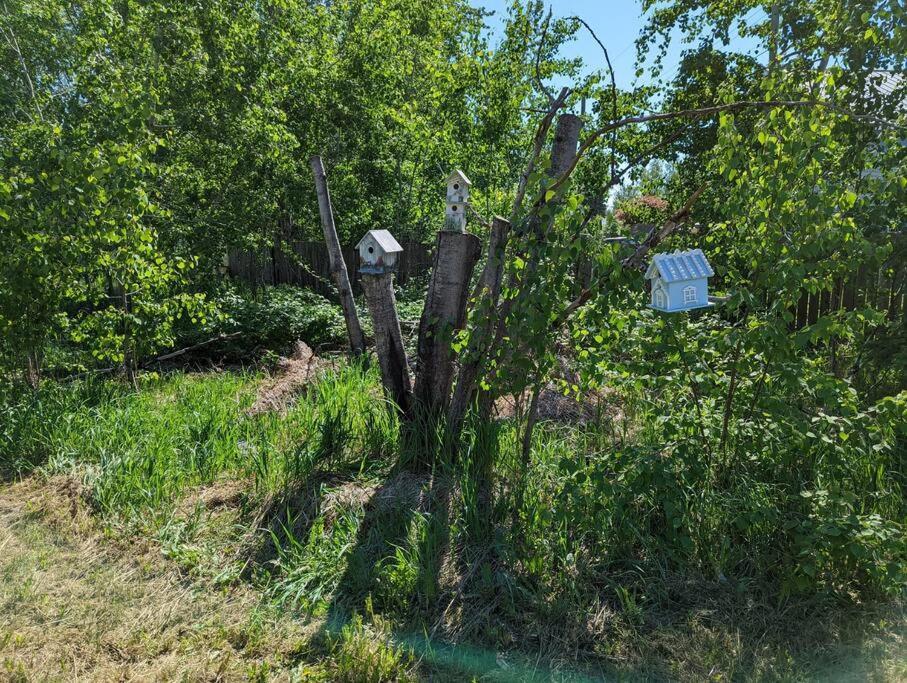 Nunaka Valley Cottage Άνκορατζ Εξωτερικό φωτογραφία